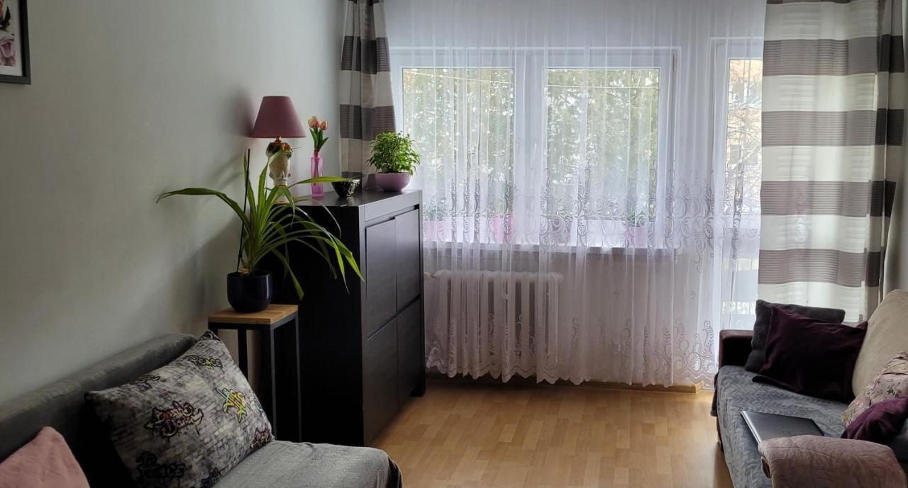 Zubardzka Apartment *